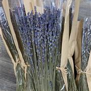 3 lavender bunches