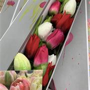 A Tulip Art Gift Box