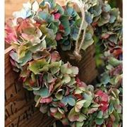 Dried Hydrangea Heart
