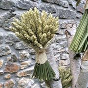 Dried Barley Bunch Trio