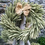 Dried Barley Wreath