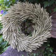 Natural Barley Wreath