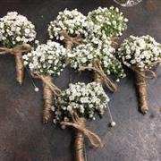 Gypsophilla buttonhole 