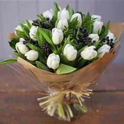 Pure White Tulips