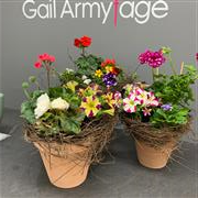 Garden Summer Pot