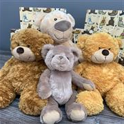 Teddy Bear Family