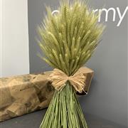 Stook of grasses
