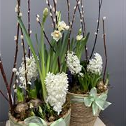Sea grass Scented Spring Bulb Basket 