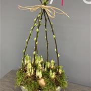 A Dreaming of Spring Planter