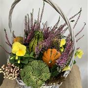 Autumn Planted Basket