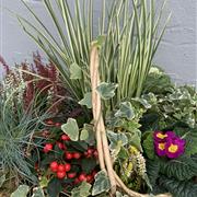 XL Seasonal Basket