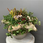 Champagne Star Planter