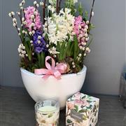 Scented Planter Gift Set