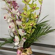 A  Large Orchid Vase