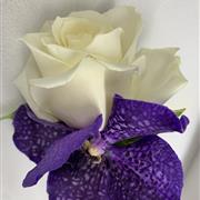 Rose and Orchid Buttonhole 