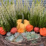 Autumn eco wreath planter