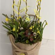 Spring Planted Tote Bag