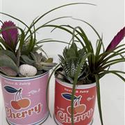 Cherry Tin duo planters