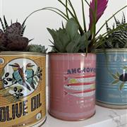 Colourful Can Trio