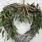 Eucalyptus Rustic Willow Heart