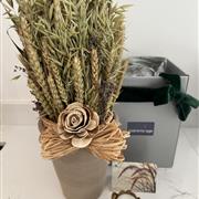 Dried Flower Grasses Pot