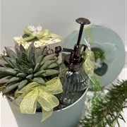 Vanilla and Lavender Hamper 