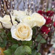 Trumpet Vase Avalanche 