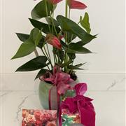 Pink Anthurium and Candle set