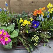 Natural Plant Coffin Arrangement 