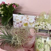 Kokodama gift box