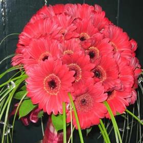 fwthumb010409085456.jpg