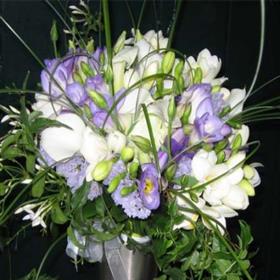 fwthumb010409085514.jpg