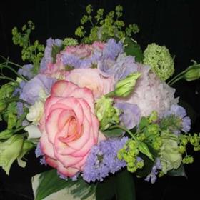 fwthumb010409085532.jpg