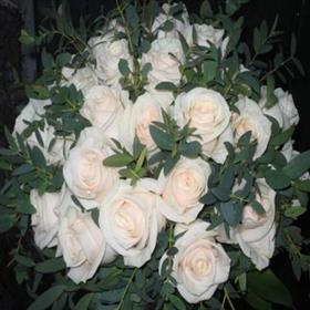 fwthumb010409085724.jpg