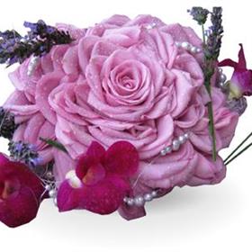 fwthumb210109153259.jpg