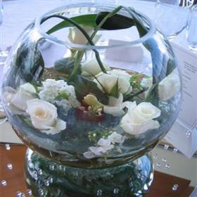 fwthumb230109174616.jpg