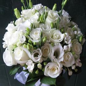 fwthumb230109175835.jpg