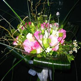 fwthumb260109192725.jpg