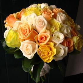 fwthumb260109192907.jpg